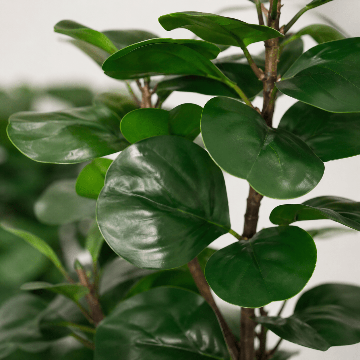Kunstpflanze Geigenfeige 150 cm – künstlicher Ficus lyrata - DYFLORA