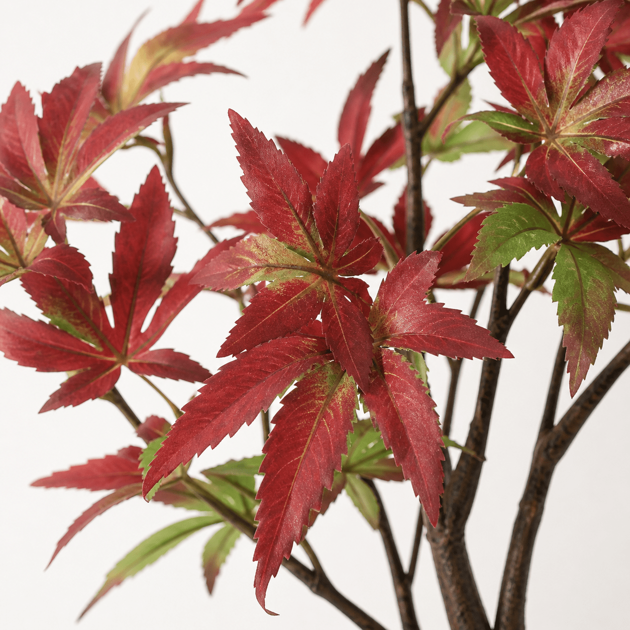 Kunstpflanze Japanischer Ahorn 53 cm rot - grün - DYFLORA
