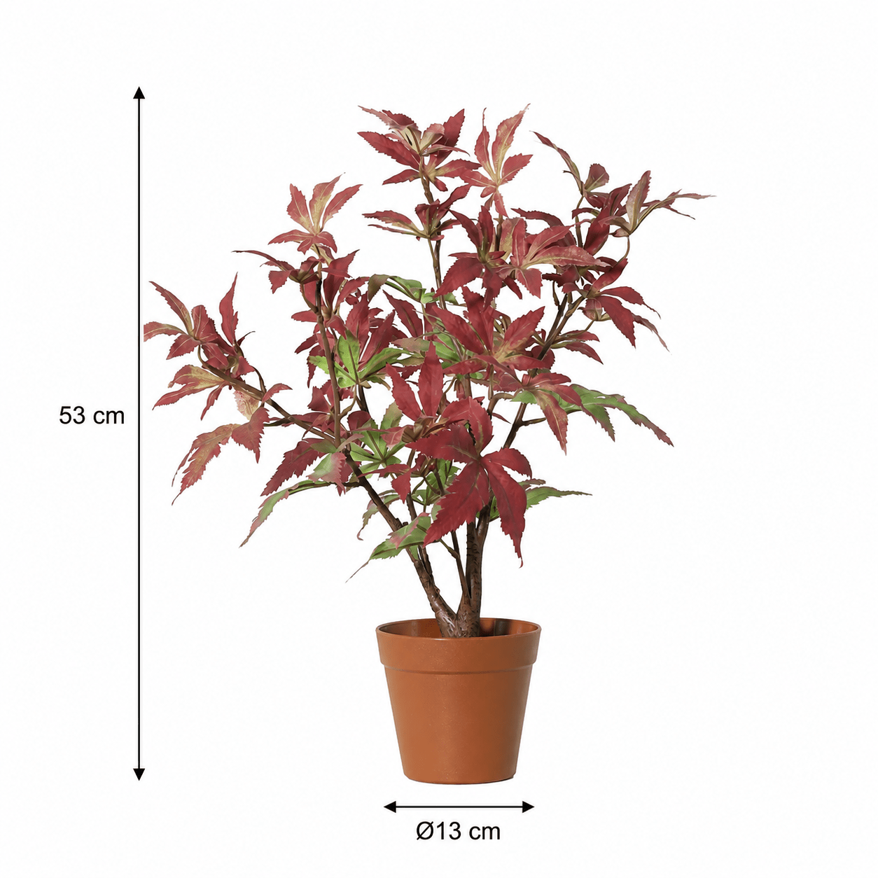 Kunstpflanze Japanischer Ahorn 53 cm rot - grün - DYFLORA