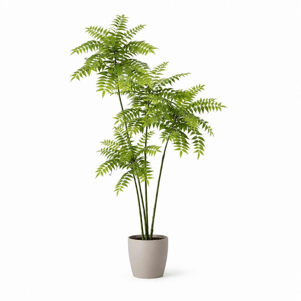 Kunstpflanze Mahonie Mahonia 185 cm naturgetreu - DYFLORA