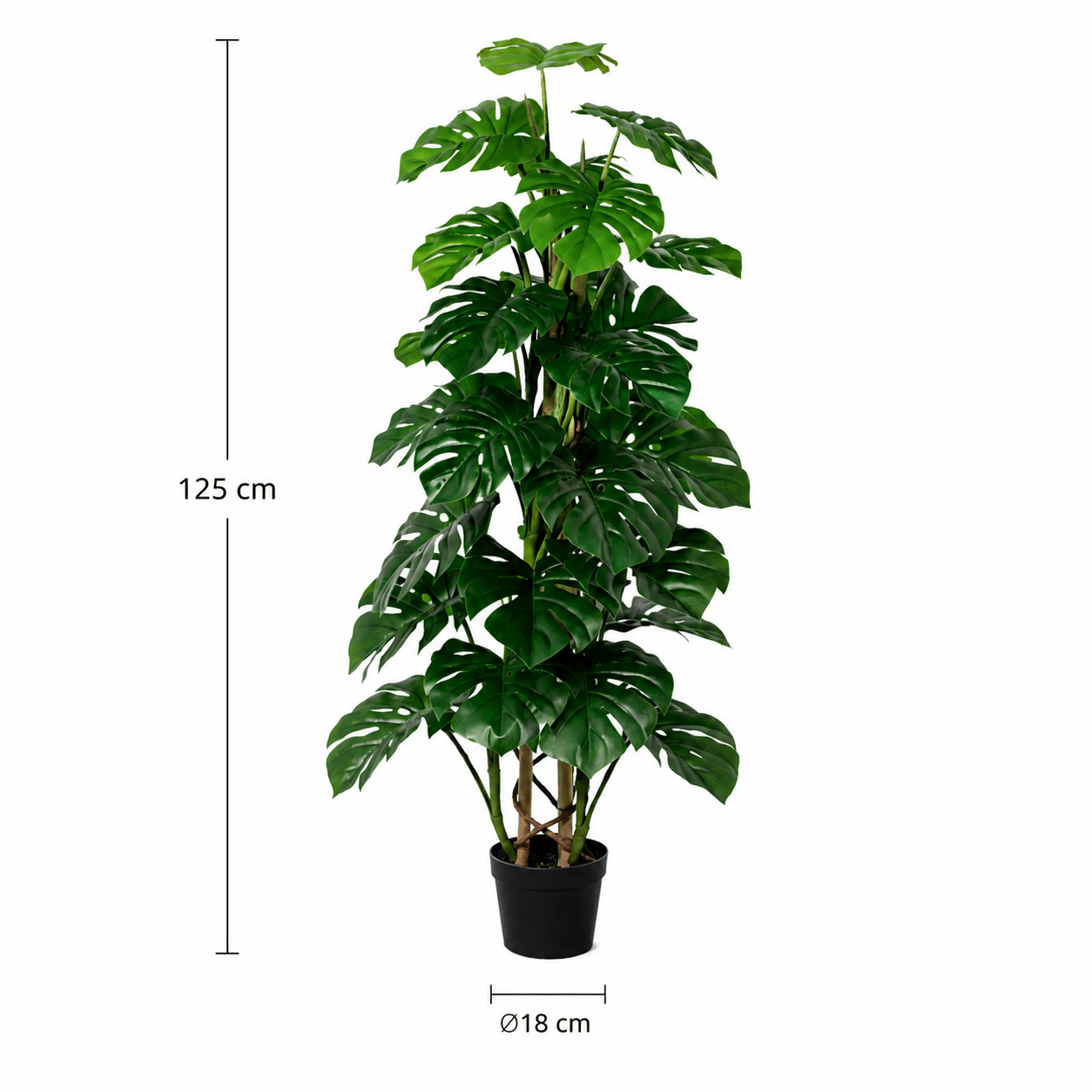 Kunstpflanze Monstera Monkey Leaf 125 cm mit tropischem Look - DYFLORA