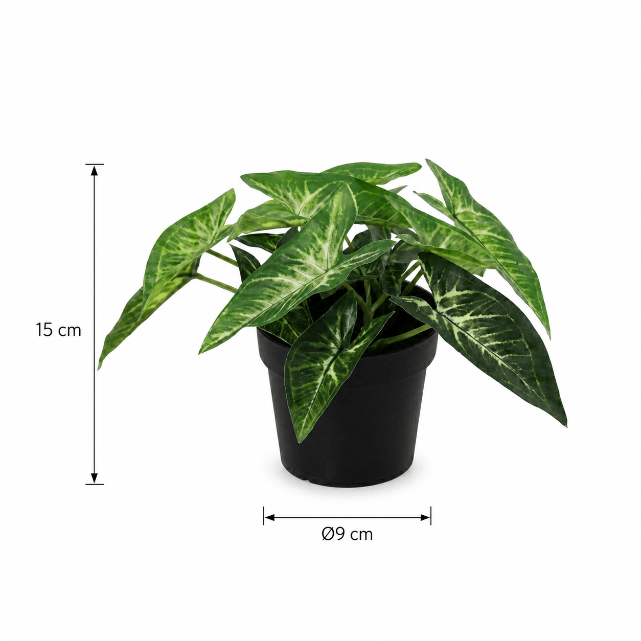 Kunstpflanze Pfeilblatt Syngonium 15 cm mit markanter Blattzeichnung - DYFLORA