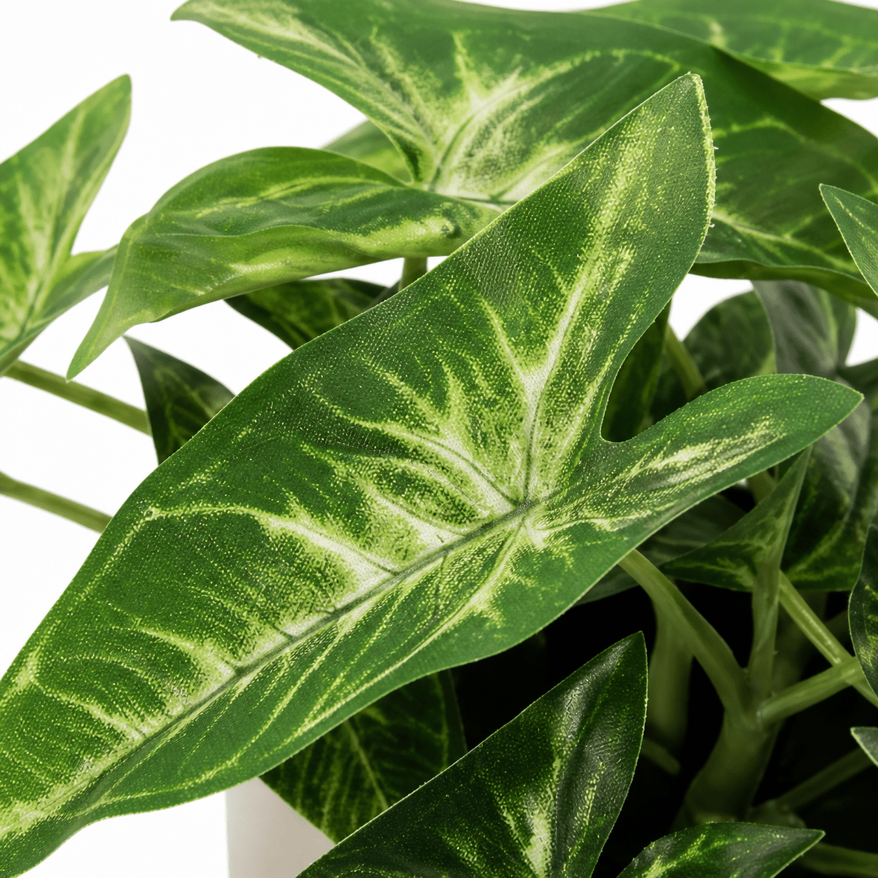 Kunstpflanze Pfeilblatt Syngonium 15 cm mit markanter Blattzeichnung - DYFLORA