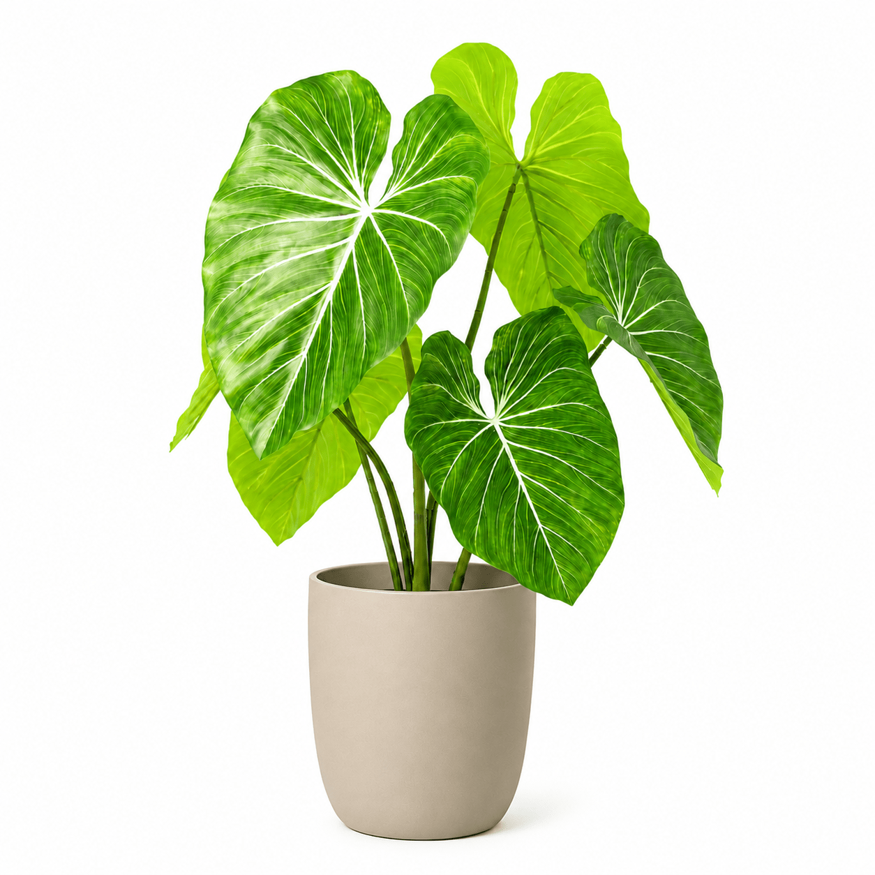 Kunstpflanze Philodendron 100 cm mit tropischer Blattoptik - DYFLORA