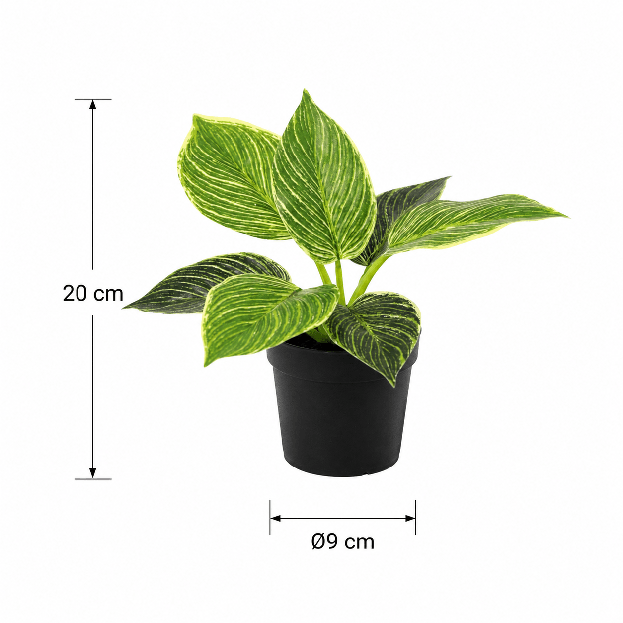 Kunstpflanze Philodendron Birkin 20 cm mit markanter Blattzeichnung - DYFLORA