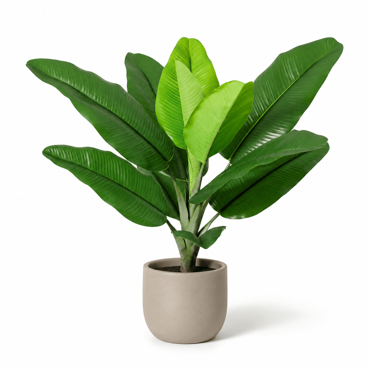 Kunstpflanze Philodendron Jungle King 45 cm – tropischer Blickfang - DYFLORA