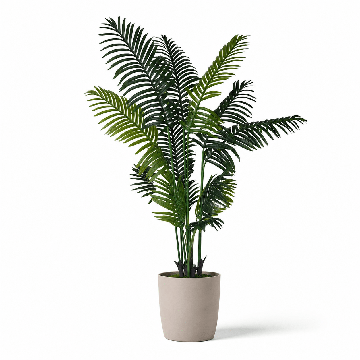 Kunstpflanze Phoenix - Palme 160 cm mit tropisch eleganter Ausstrahlung - DYFLORA