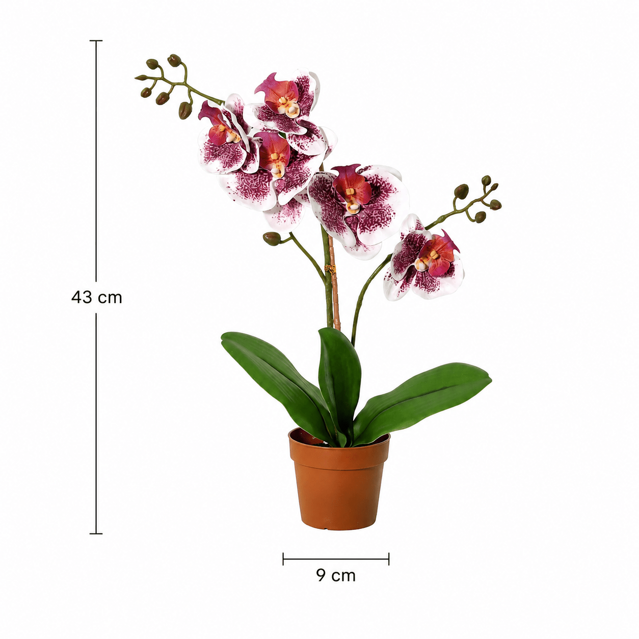 Kunstpflanze Schmetterlingsorchidee Phalaenopsis 41 cm violett - weiß - DYFLORA