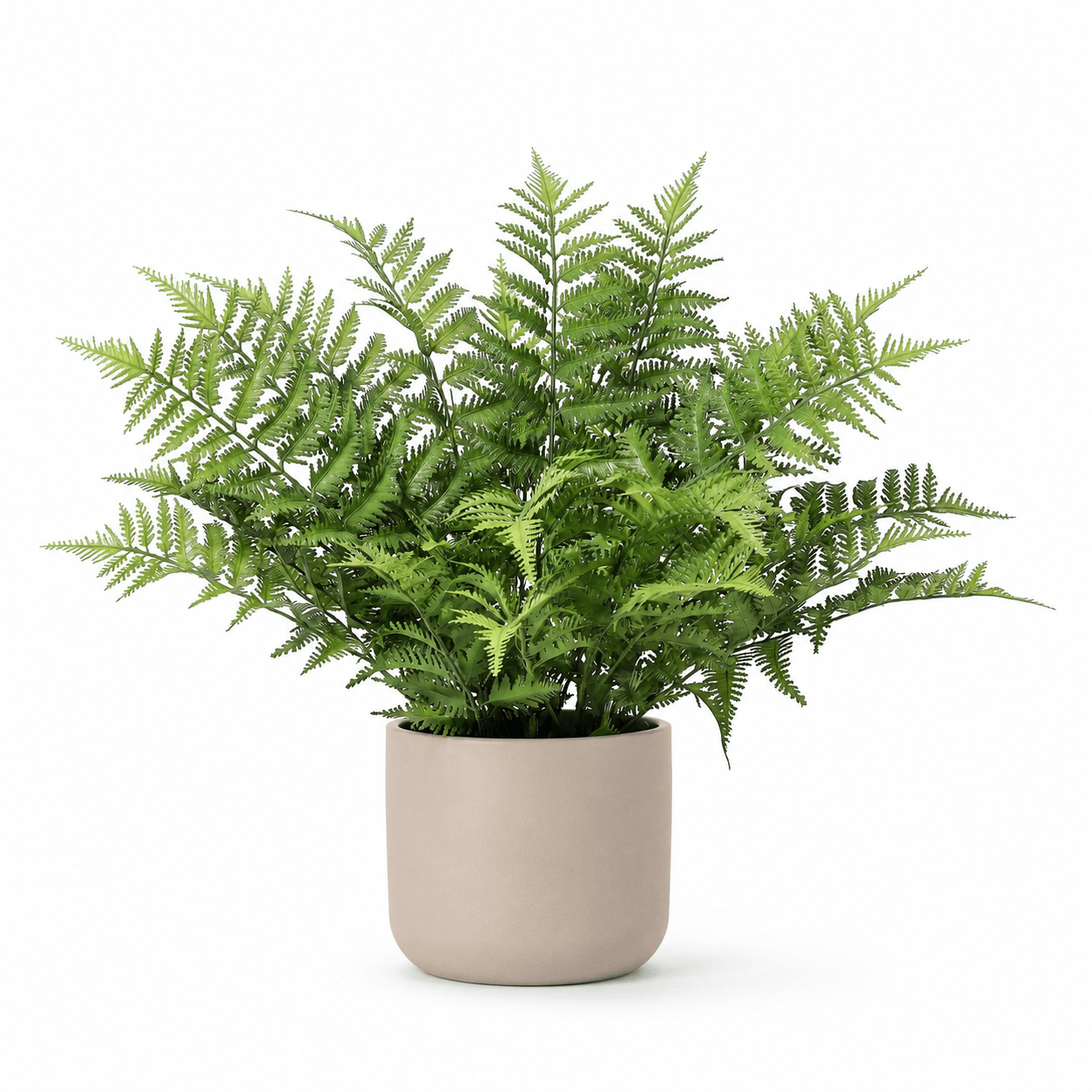 Kunstpflanze Schwertfarn Nephrolepis exaltata 59 cm - DYFLORA