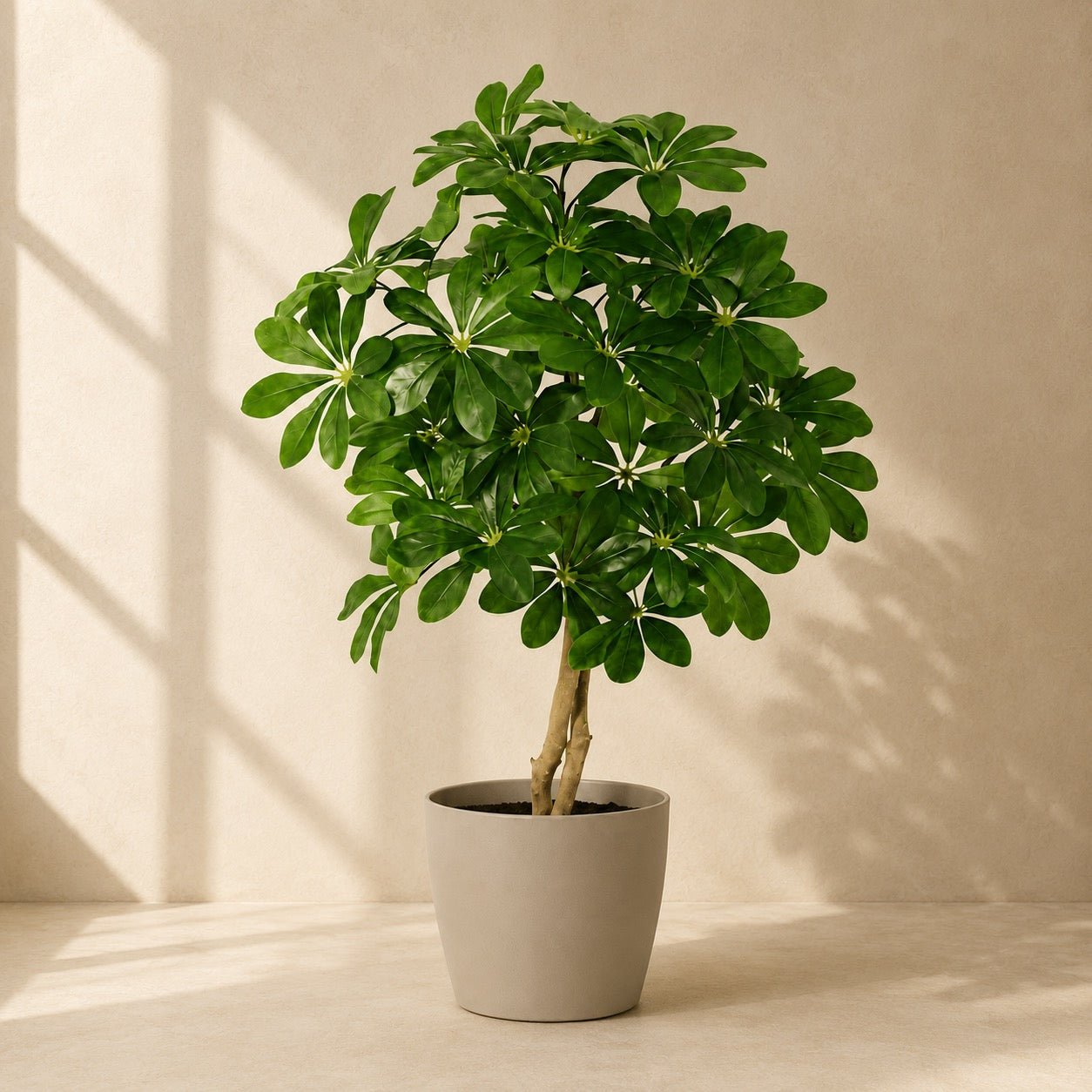 Kunstpflanze Strahlenaralie 120 cm | Realistische Schefflera Arboricola - DYFLORA