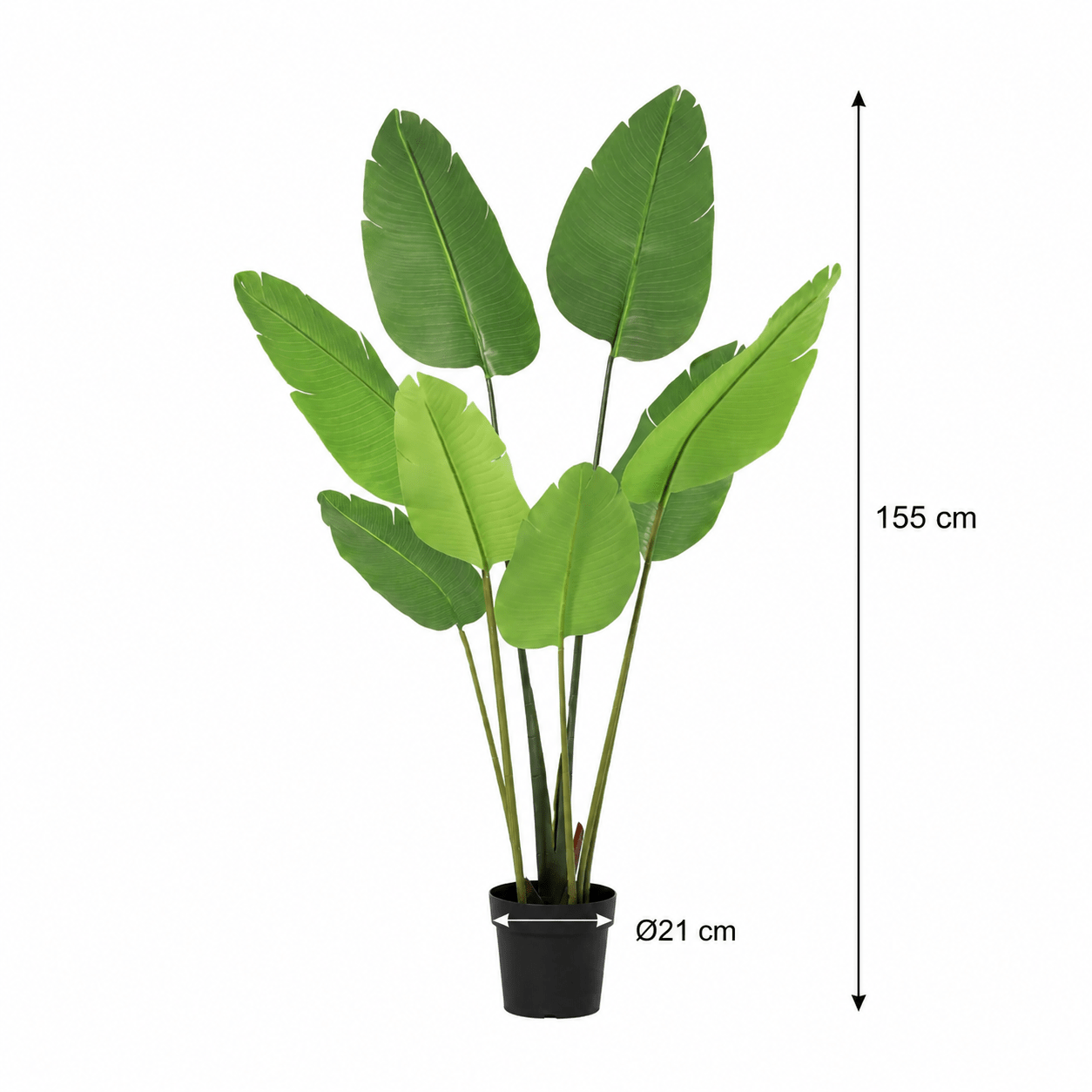Kunstpflanze Strelitzie Nicolai 155 cm tropisch naturgetreu - DYFLORA
