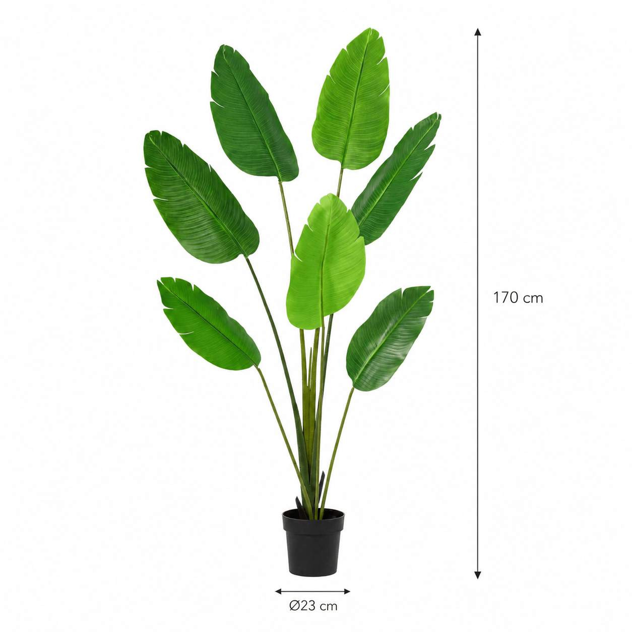 Kunstpflanze Strelitzie Nicolai 170 cm naturgetreu - DYFLORA
