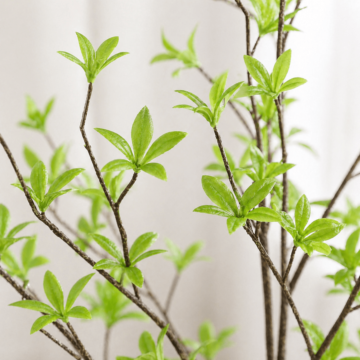 Kunstpflanze Tropaeolum 110 cm mit luftiger, natürlicher Optik - DYFLORA