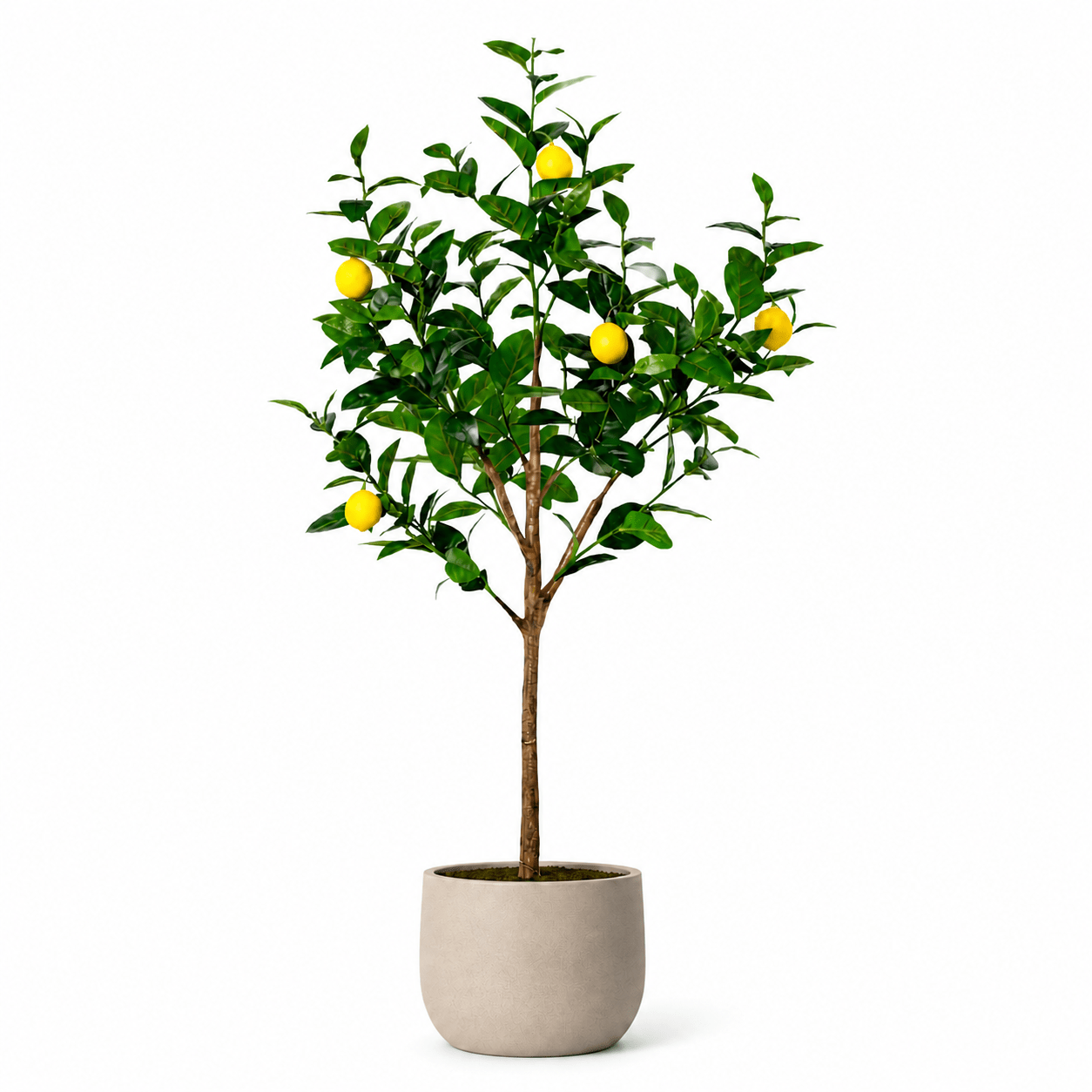 Kunstpflanze Zitronenbaum 150 cm mit realistischen Zitronen - DYFLORA