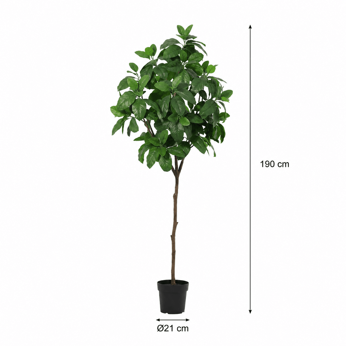 Magnolie Kunstpflanze 190 cm – eleganter Kunstbaum mit grünen Blättern - DYFLORA