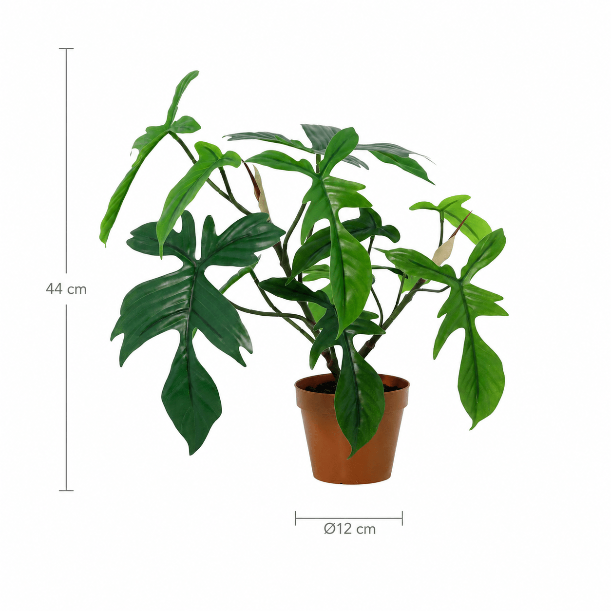 Philodendron Florida Kunstpflanze 44 cm – tropisch und stilvoll - DYFLORA