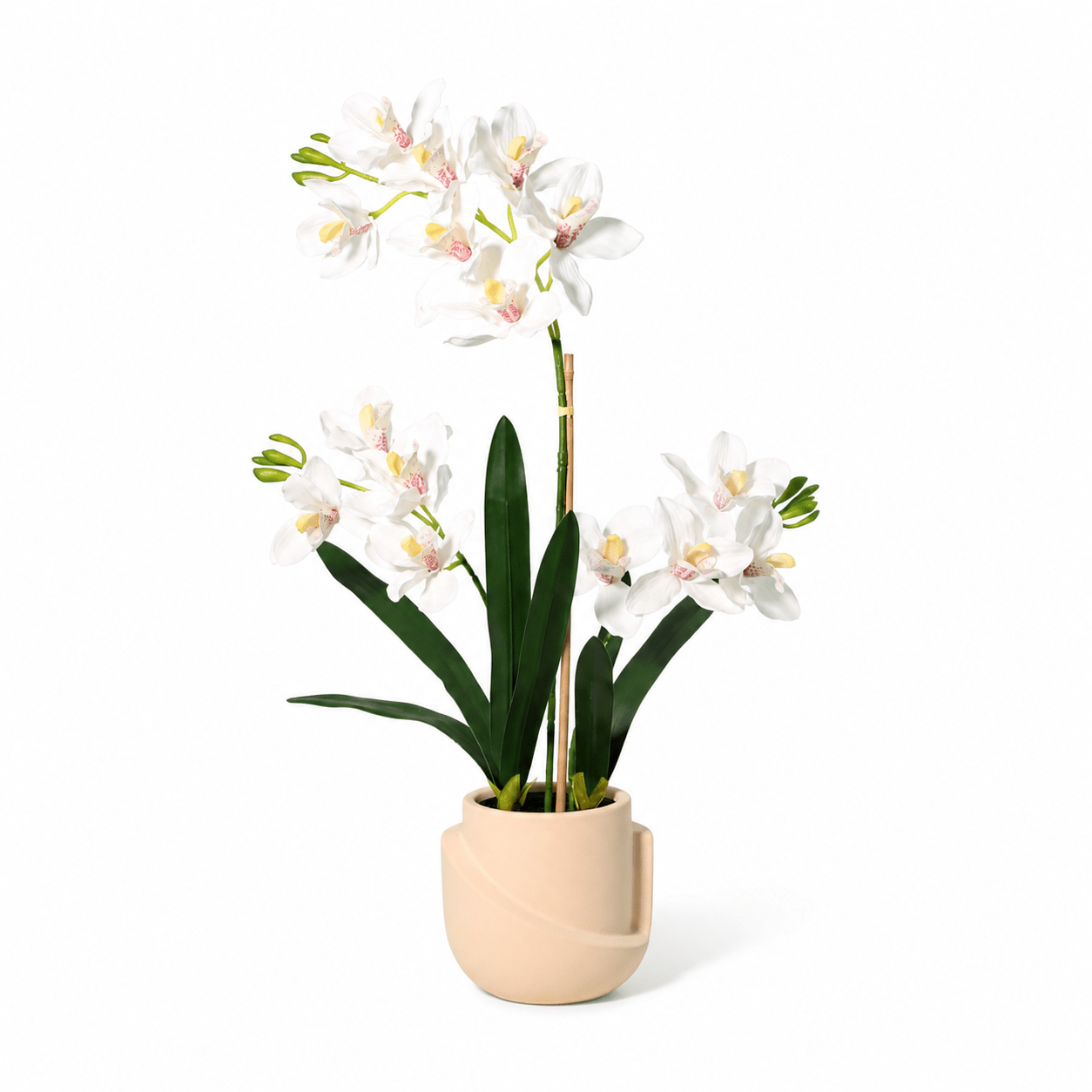 Schmetterlingsorchidee Kunstpflanze 71 cm – Phalaenopsis elegant - DYFLORA