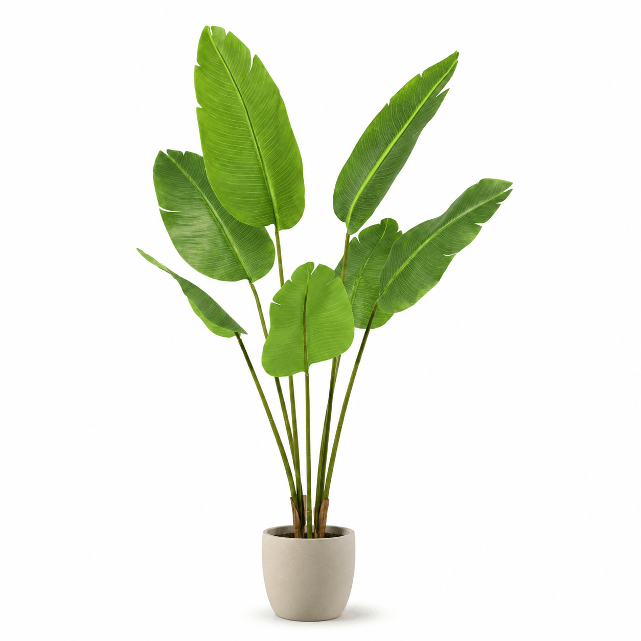 Strelitzie Kunstpflanze 135 cm – Strelitzia Nicolai tropisch elegant - DYFLORA