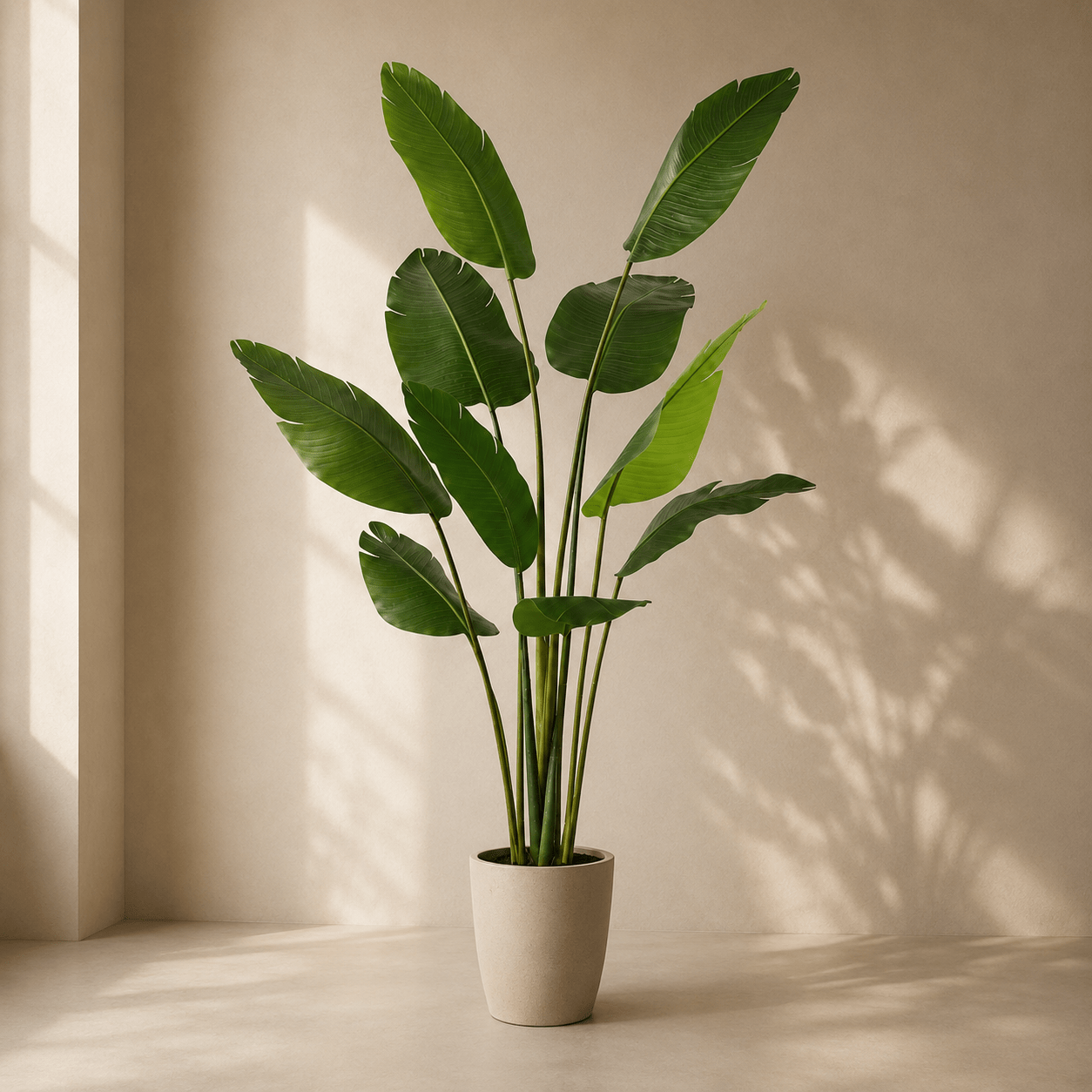 Strelitzie Kunstpflanze 180 cm – Strelitzia Nicolai tropisch - DYFLORA