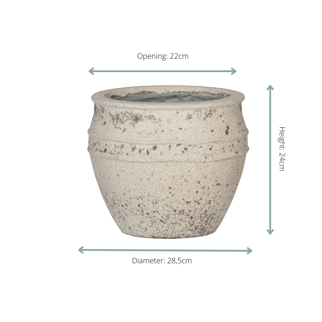 Übertopf Athena - DYFLORA