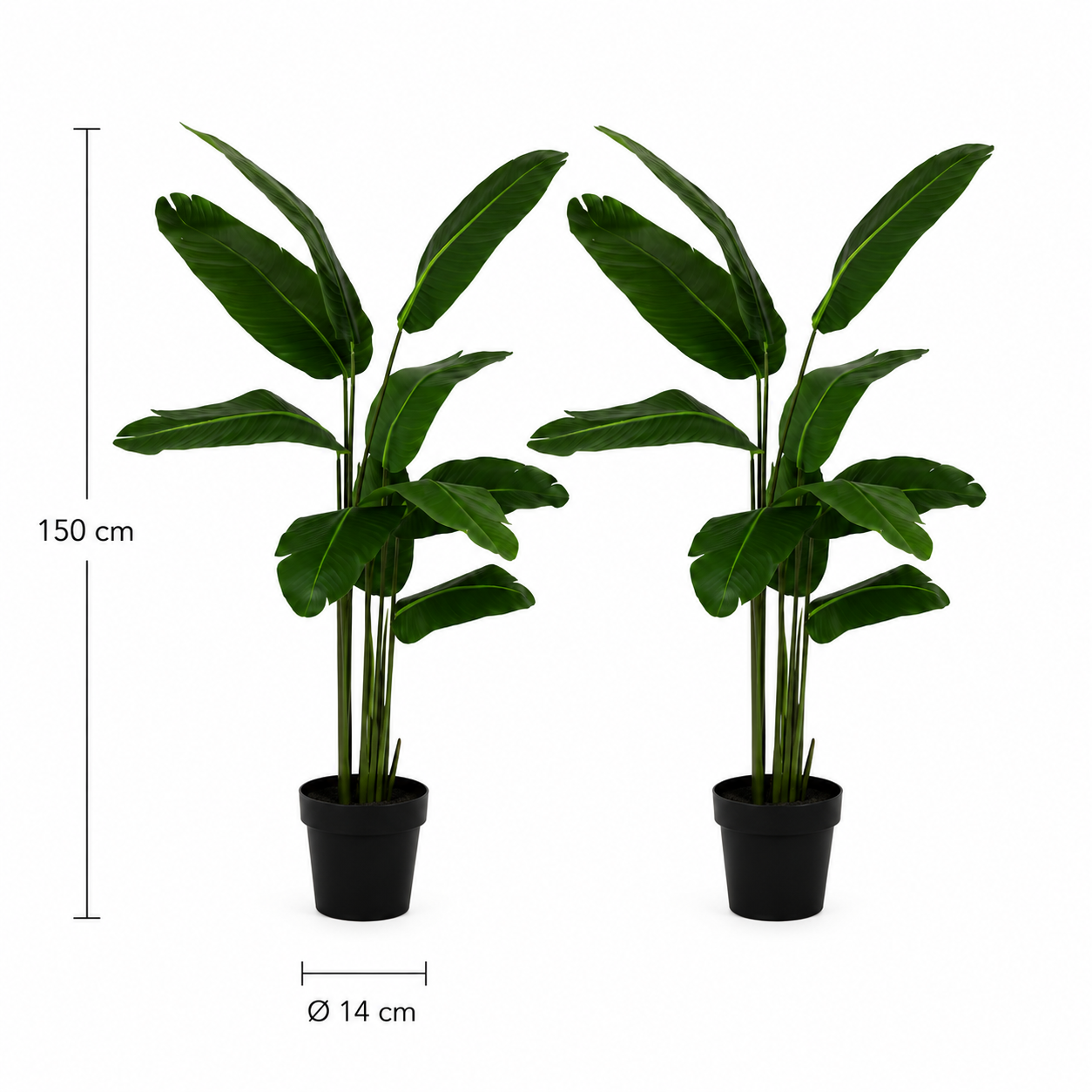 2er Set Strelitzie Kunstpflanze 150 cm – exotisches Duo mit großen Blättern