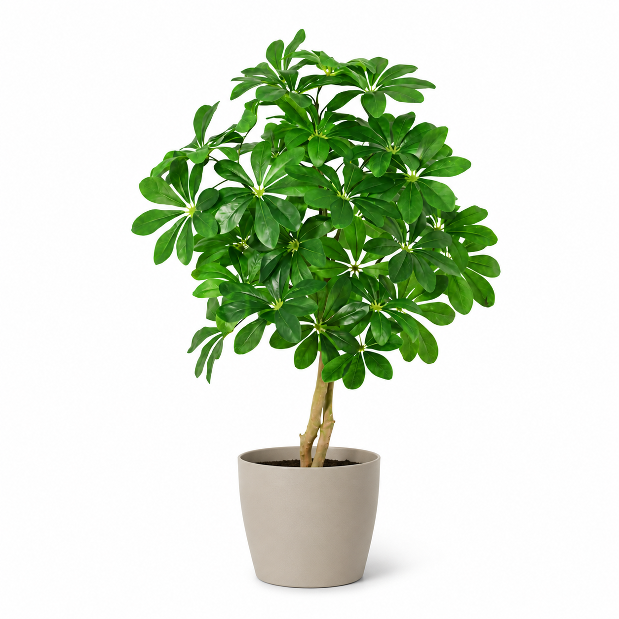 Kunstpflanze Strahlenaralie Schefflera Arboricola 120 cm