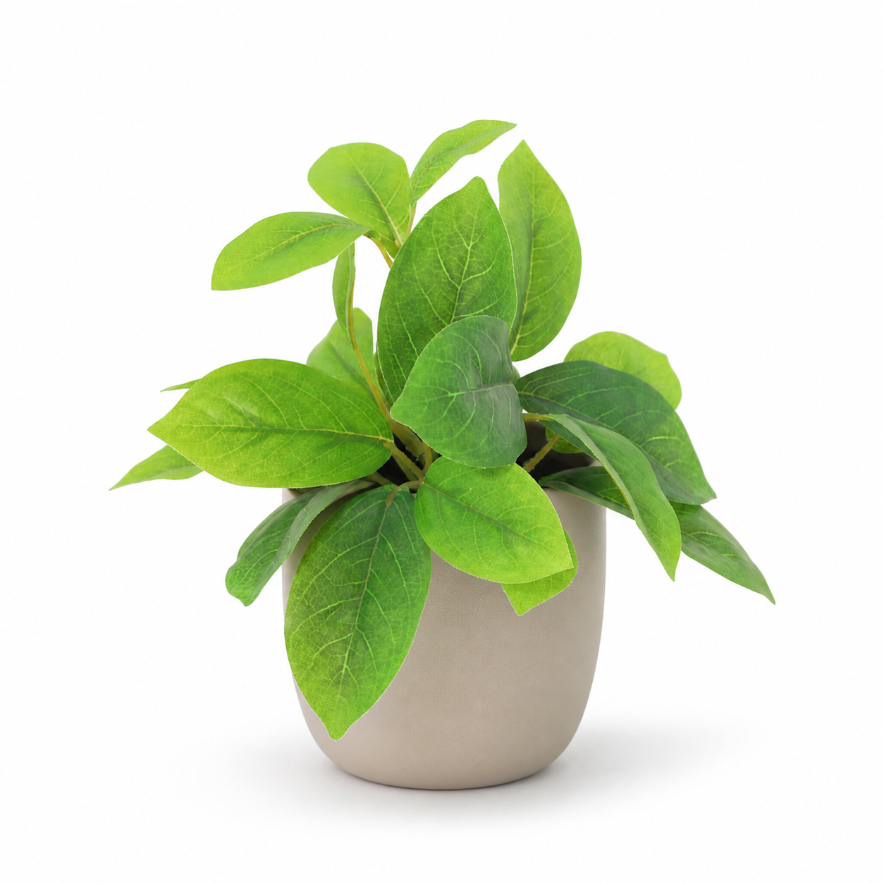 Kunstpflanze Hoya Grün 20 cm mit natürlicher, kompakter Blattoptik