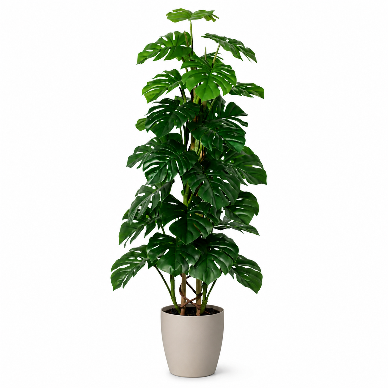 Kunstpflanze Monstera Monkey Leaf 125 cm mit tropischem Look