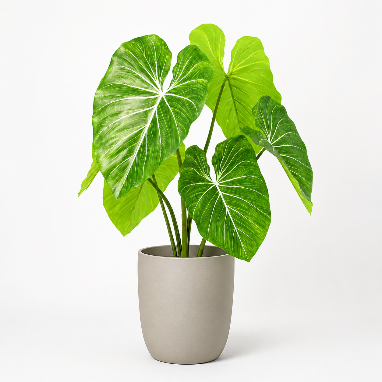 Kunstpflanze Philodendron 100 cm mit tropischer Blattoptik