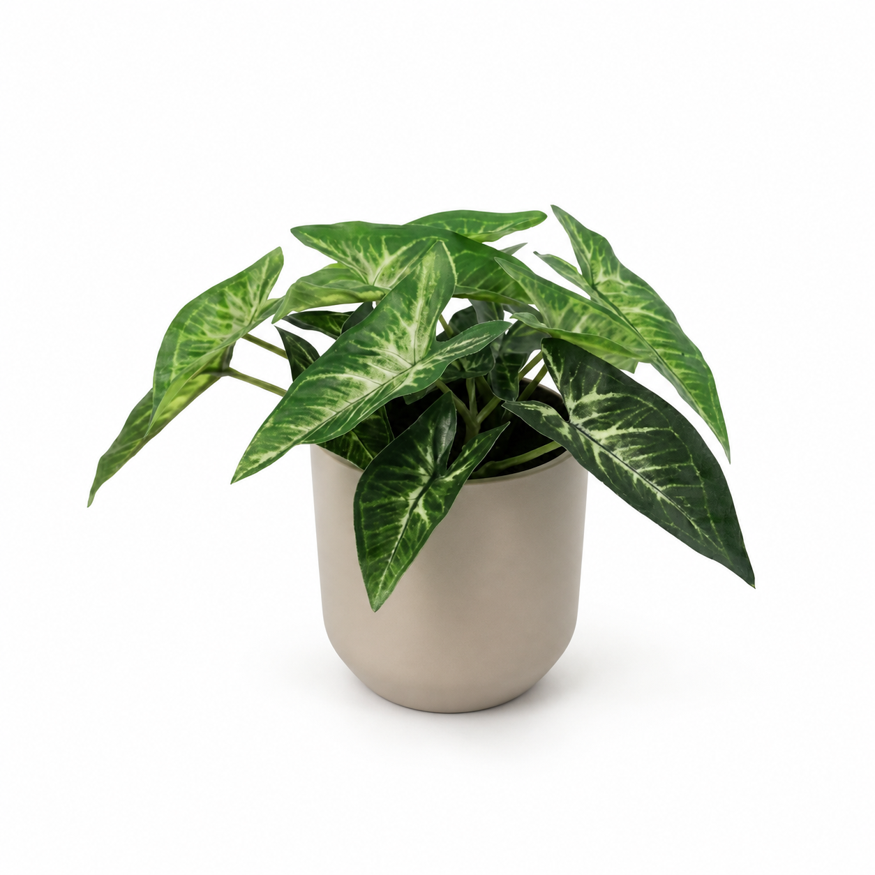 Kunstpflanze Pfeilblatt Syngonium 15 cm mit markanter Blattzeichnung