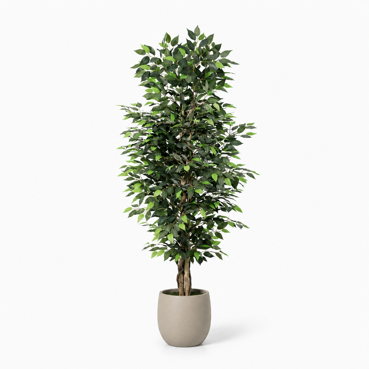 Kunstpflanze Birkenfeige Ficus Benjamina 180 cm