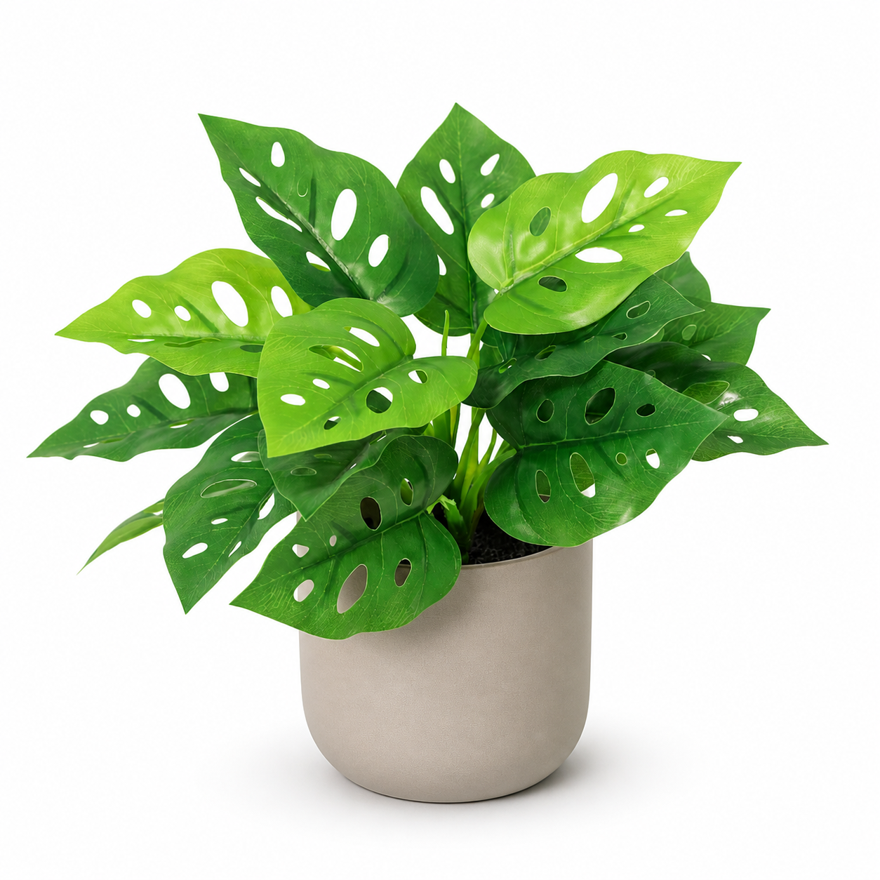 Kunstpflanze Monstera Monkey Leaf 22 cm Lochpflanze