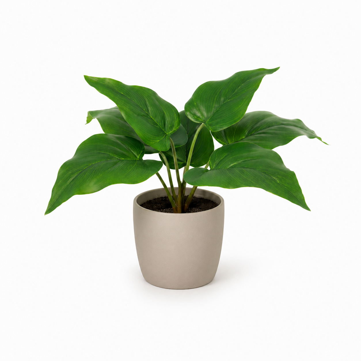 Philodendron Imperial Green Kunstpflanze 25 cm – modern und stilvoll