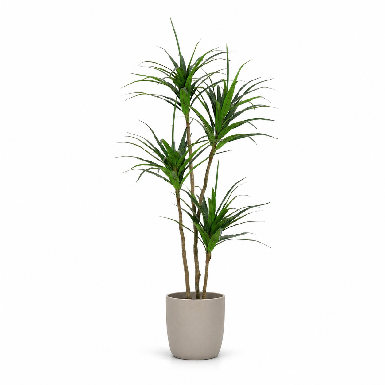 Kunstpflanze Drachenbaum 165 cm – künstliche Dracaena