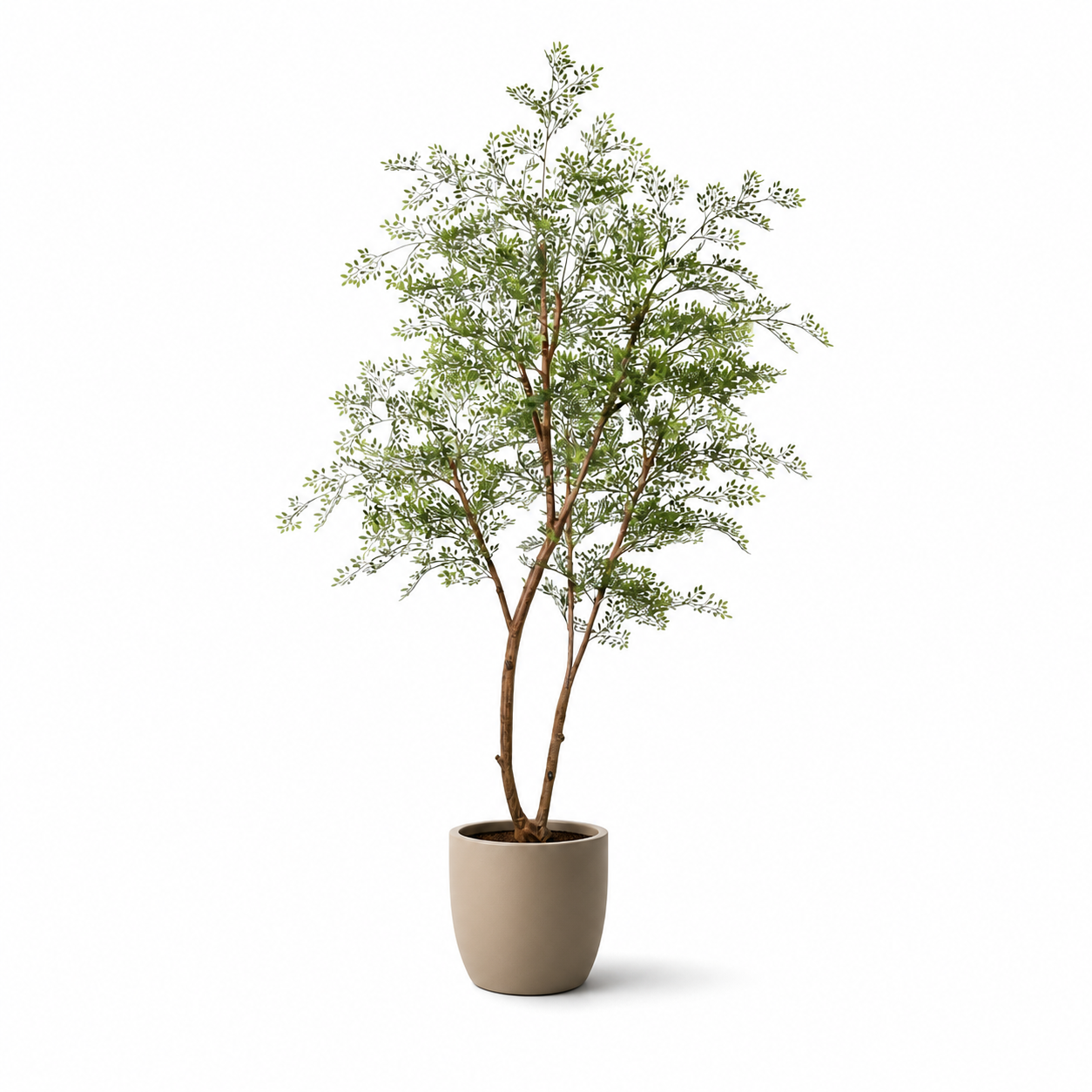 Kunstpflanze Cassia Baum 180 cm mit filigraner, luftiger Optik
