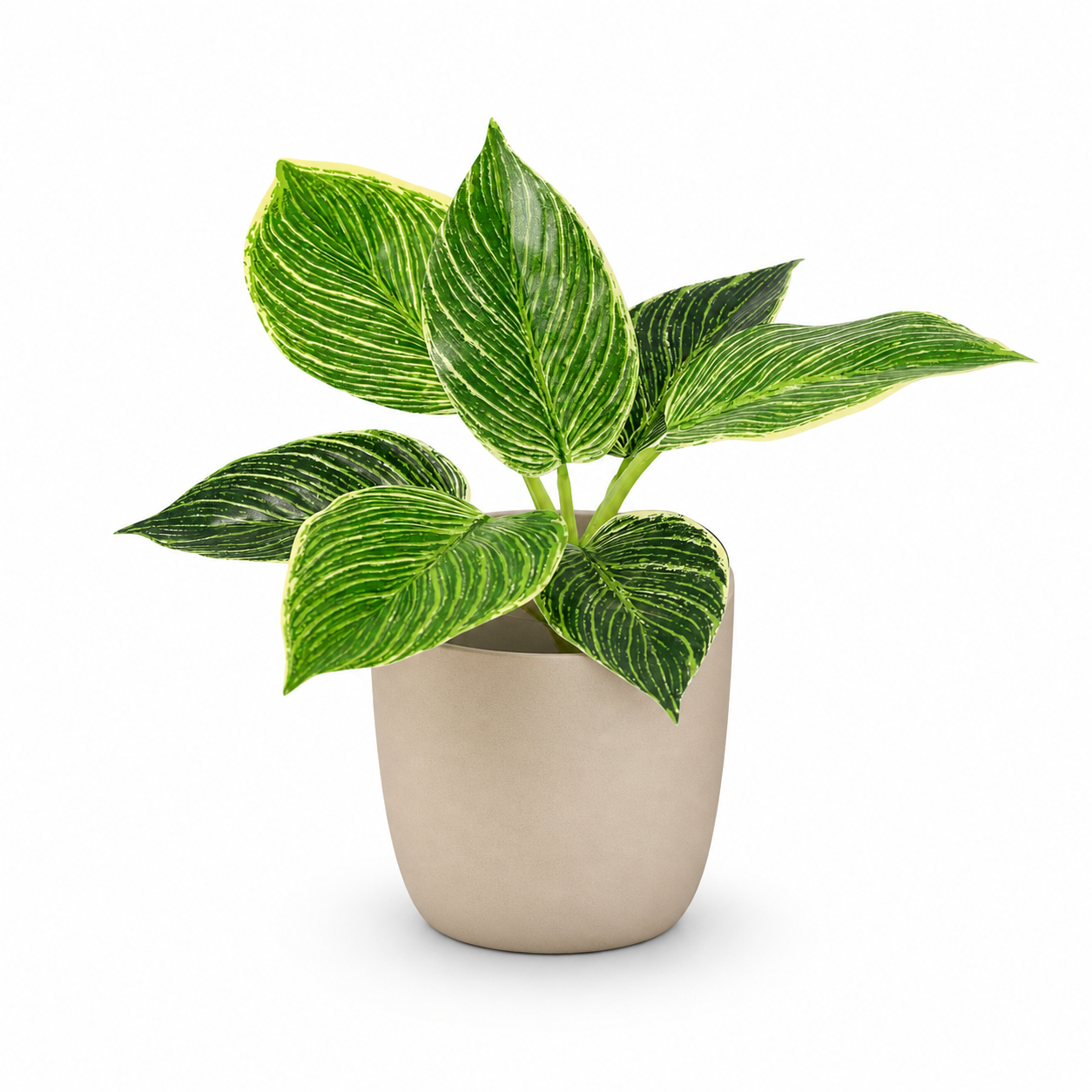 Kunstpflanze Philodendron Birkin 20 cm mit markanter Blattzeichnung