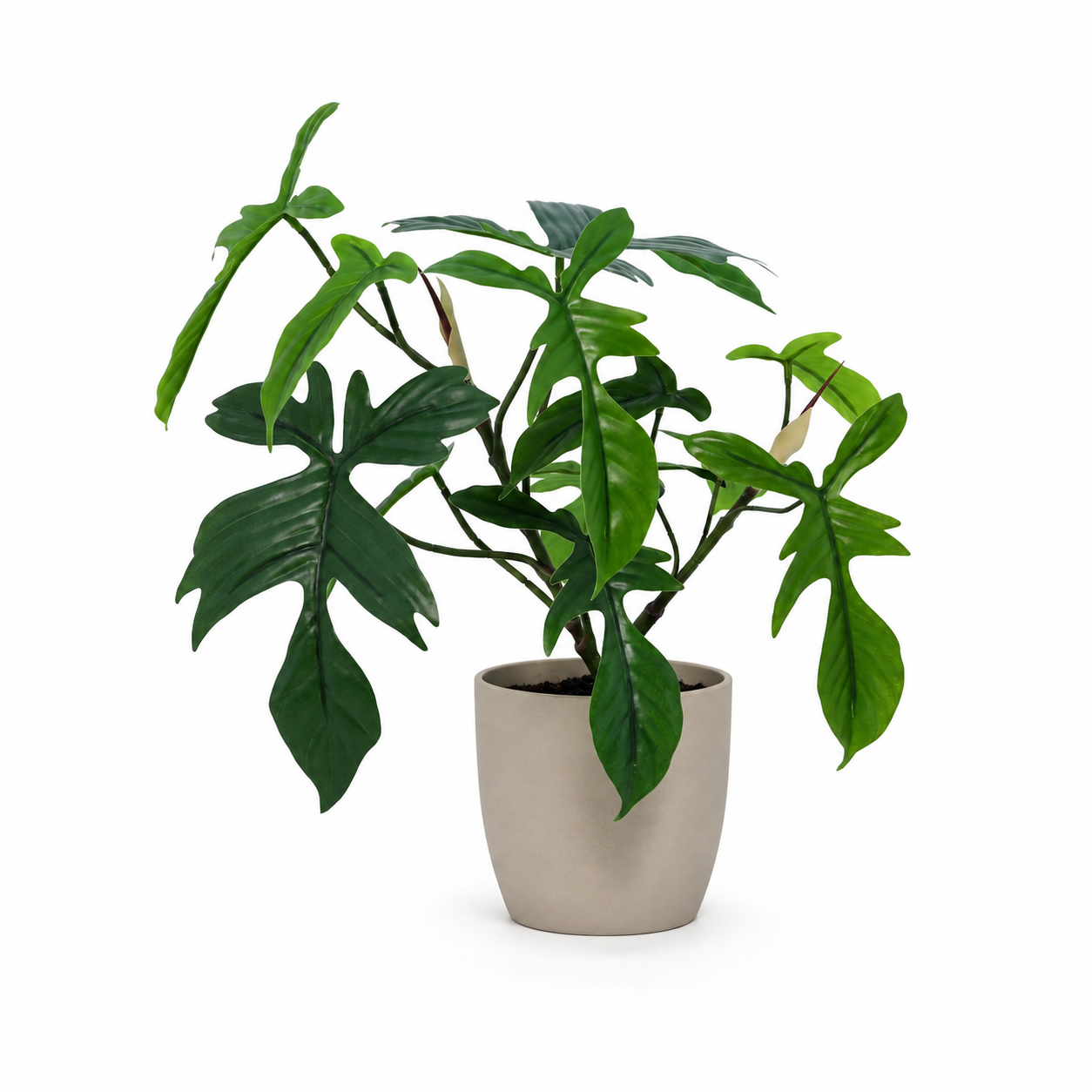 Philodendron Florida Kunstpflanze 44 cm – tropisch und stilvoll