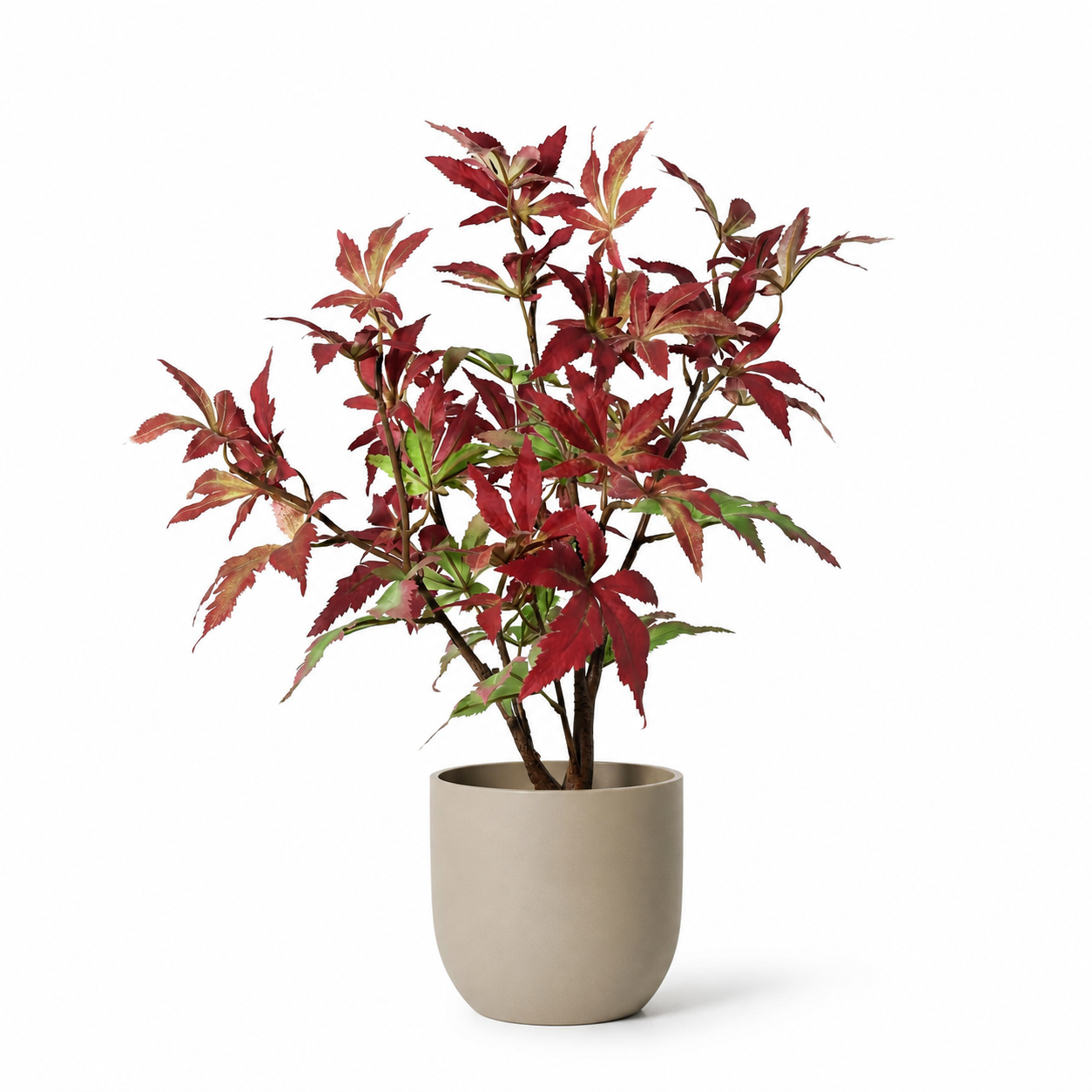 Kunstpflanze Japanischer Ahorn 53 cm rot-grün