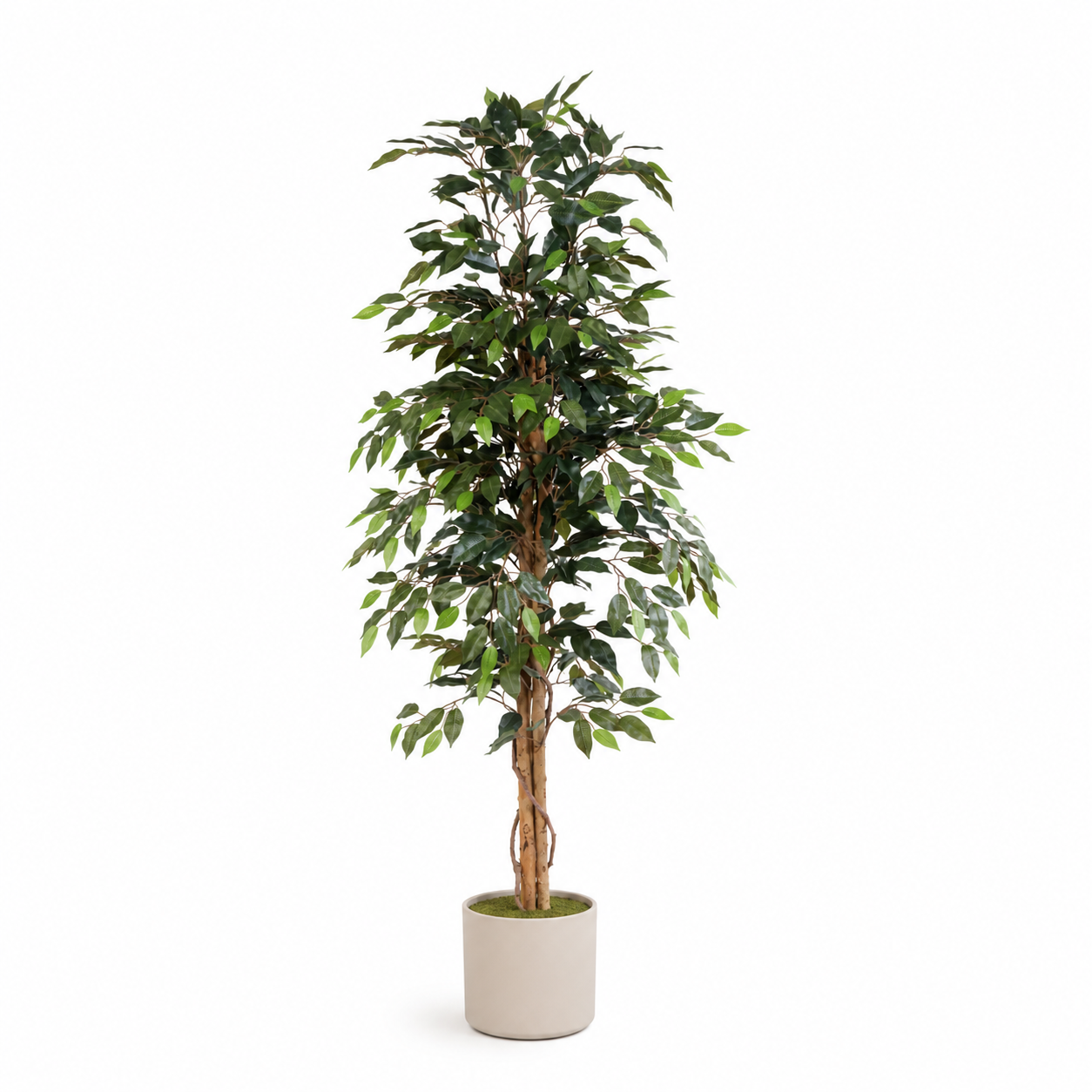 Kunstpflanze Birkenfeige Ficus Benjamina 160 cm