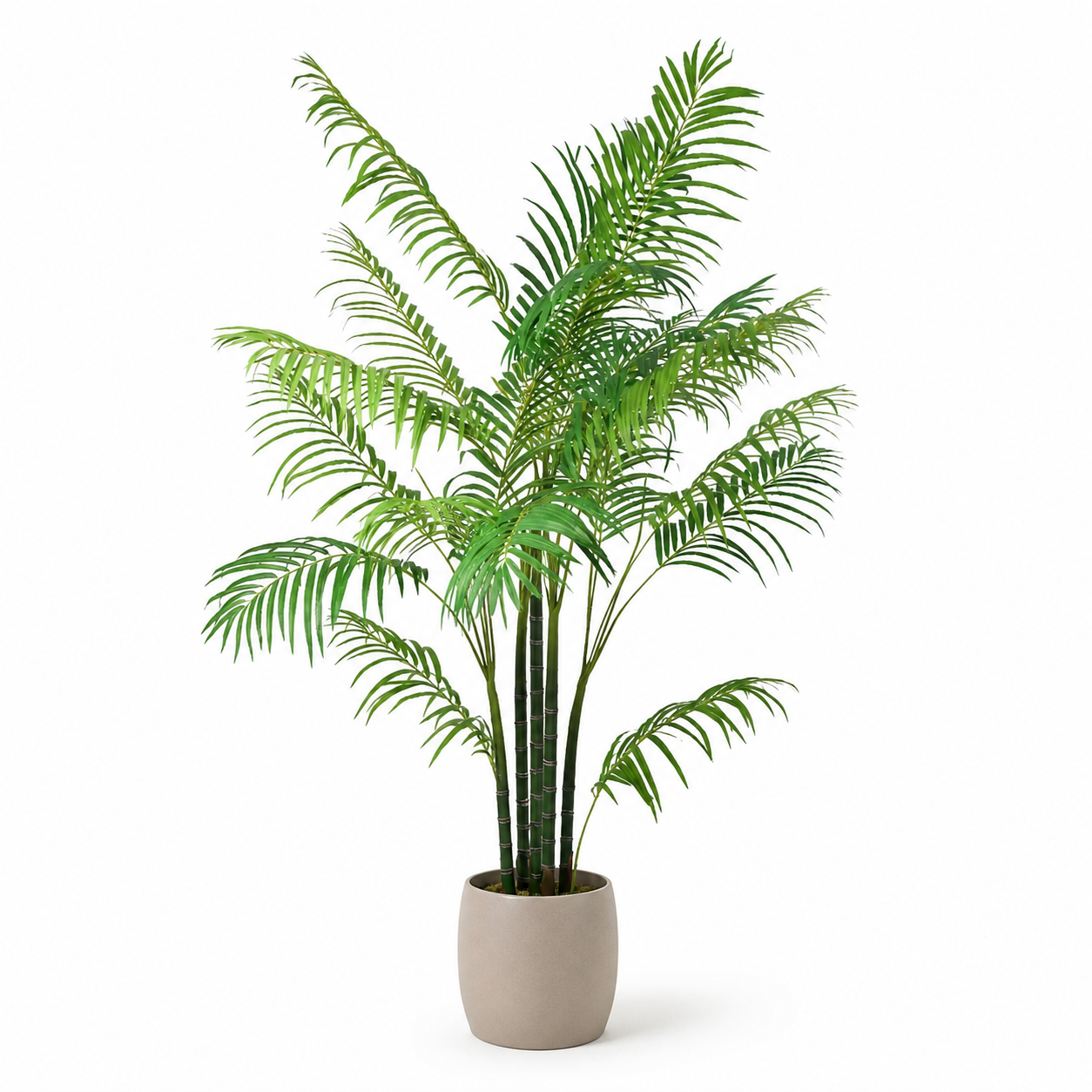 Areca Palme Kunstpflanze 190 cm – tropische Kunstpalme mit feinen Wedeln