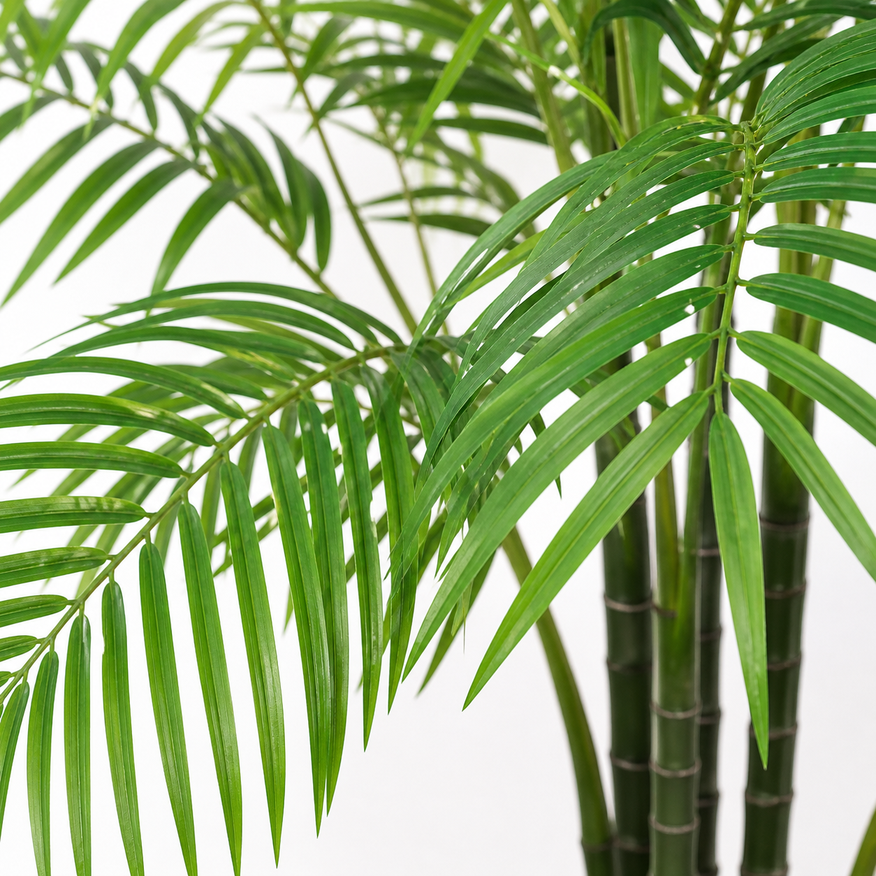 Areca Palme Kunstpflanze 190 cm – tropische Kunstpalme mit feinen Wedeln