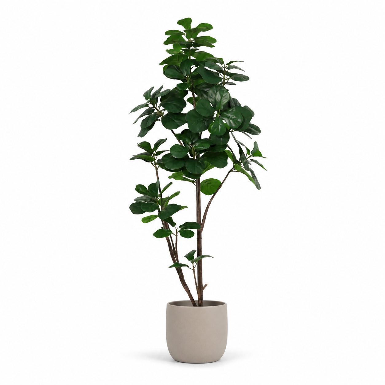 Kunstpflanze Geigenfeige 150 cm – künstlicher Ficus lyrata