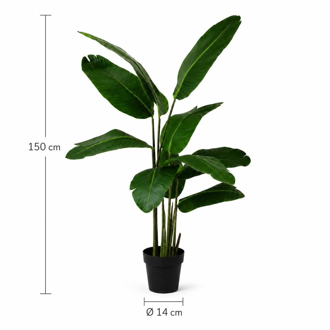 Strelitzie Kunstpflanze 150 cm – exotische Deko mit großen Blättern