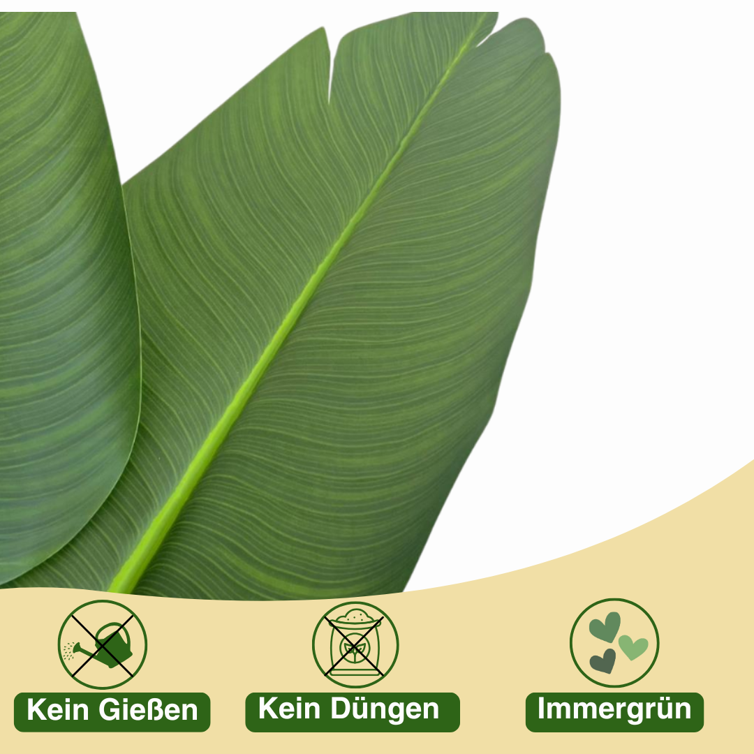 Künstliche Strelitzia