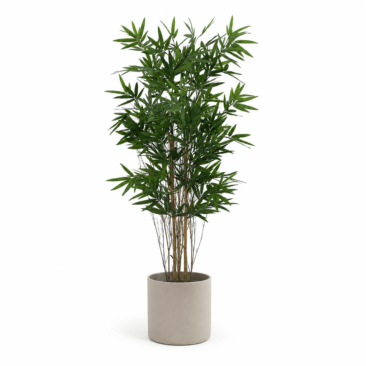 Bambus Kunstpflanze 123 cm – natürlicher Sichtschutz mit Asia - Flair - DYFLORA