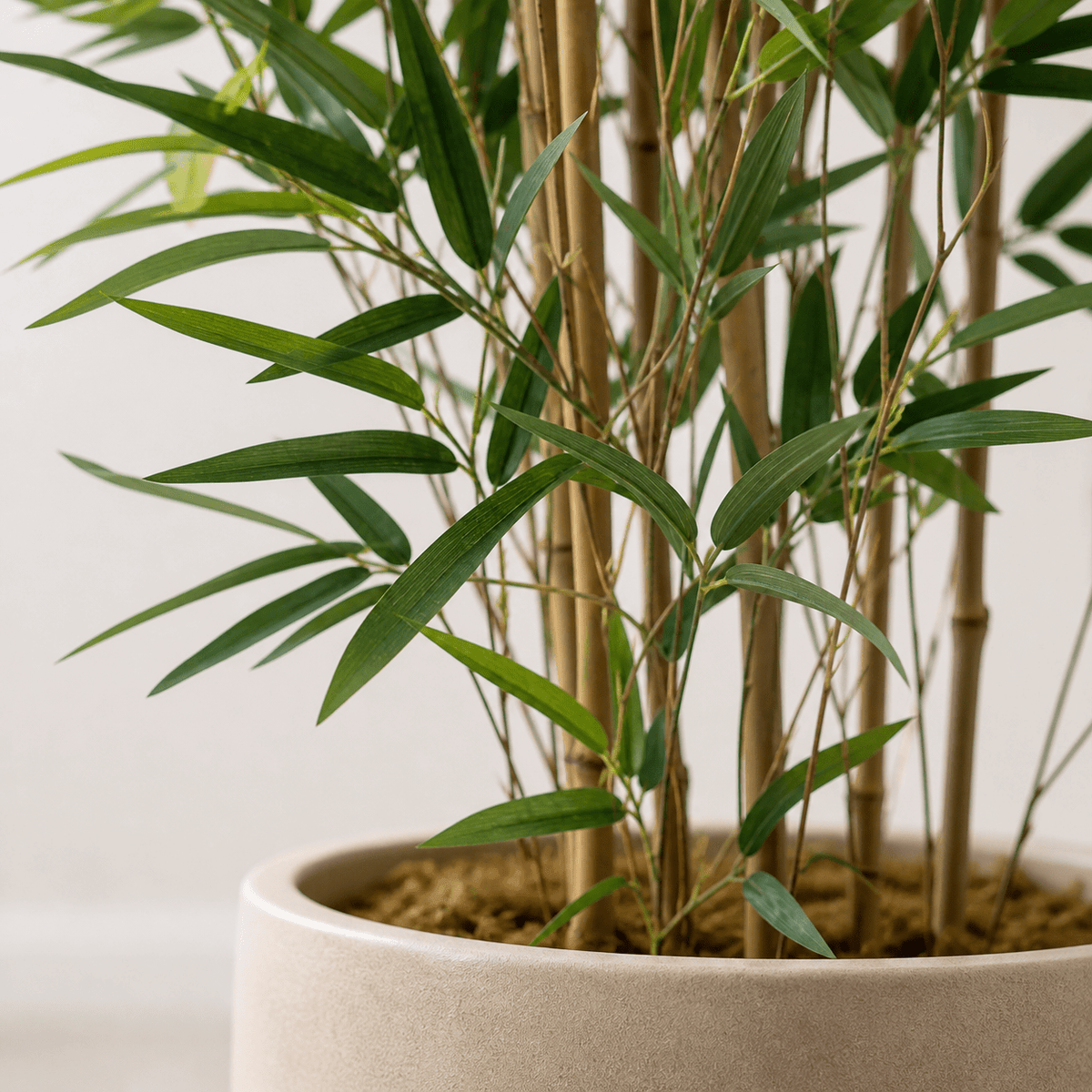 Bambus Kunstpflanze 210 cm – natürlicher Raumakzent für Wohnstil - DYFLORA