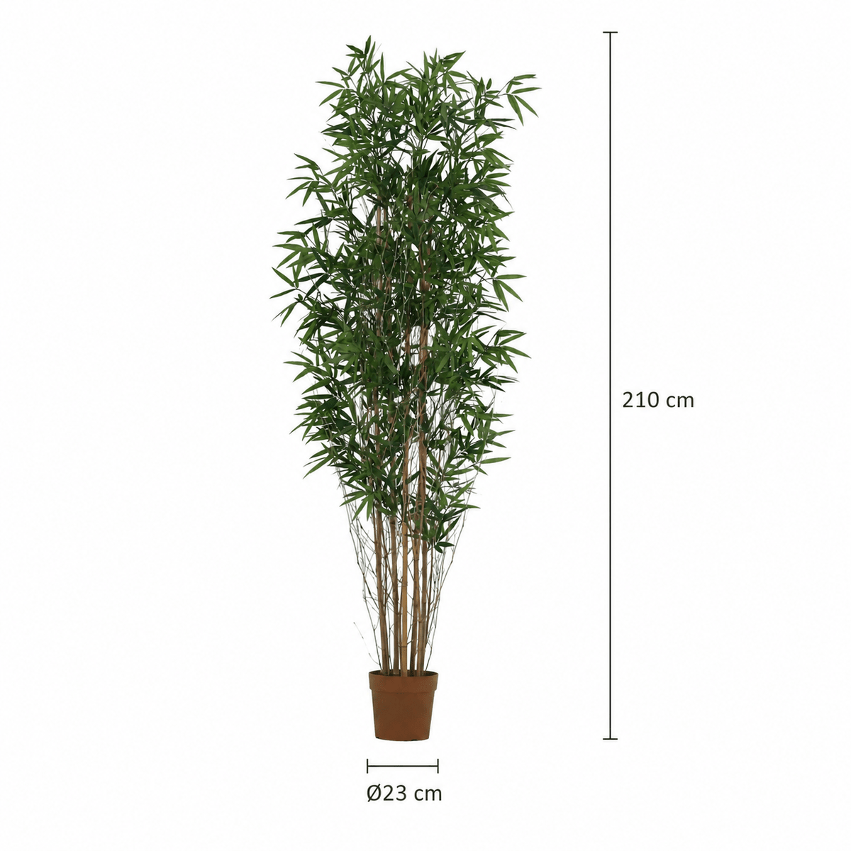 Bambus Kunstpflanze 210 cm – natürlicher Raumakzent für Wohnstil - DYFLORA