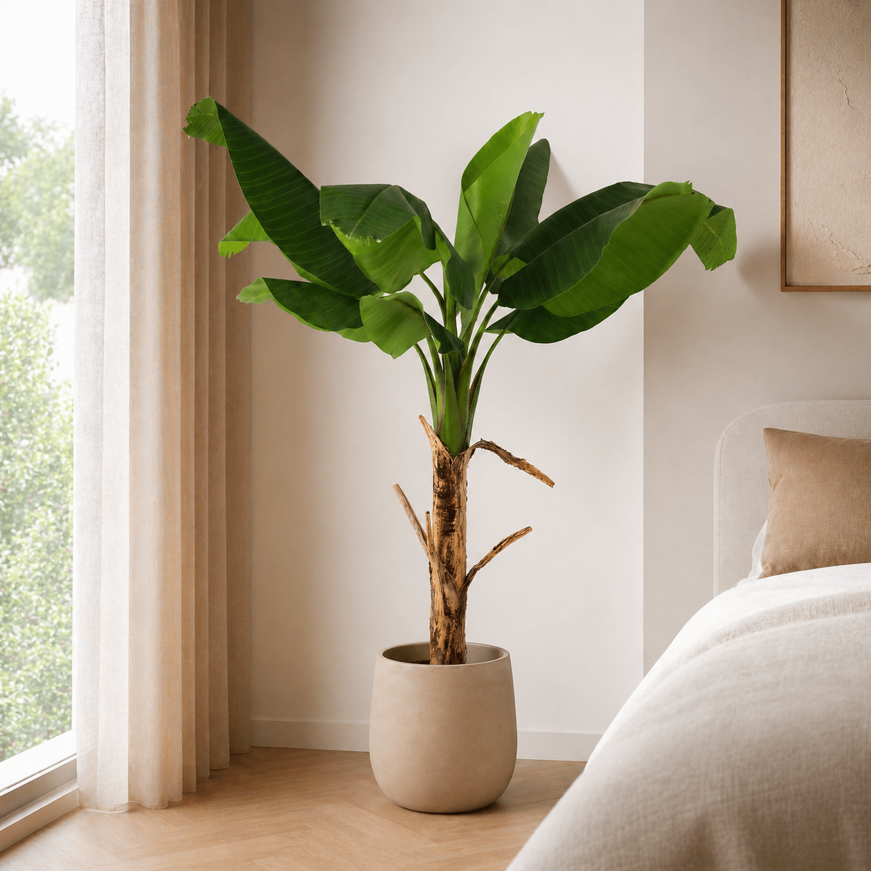 Bananenpflanze Kunstpflanze 150 cm – tropischer Blickfang mit großen Blättern - DYFLORA