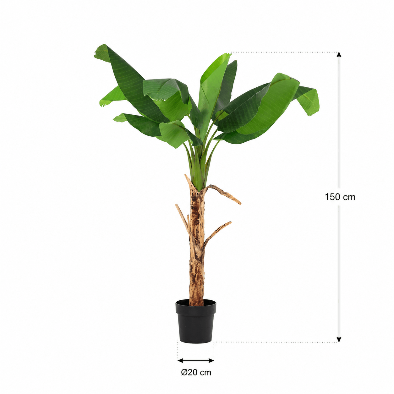 Bananenpflanze Kunstpflanze 150 cm – tropischer Blickfang mit großen Blättern - DYFLORA