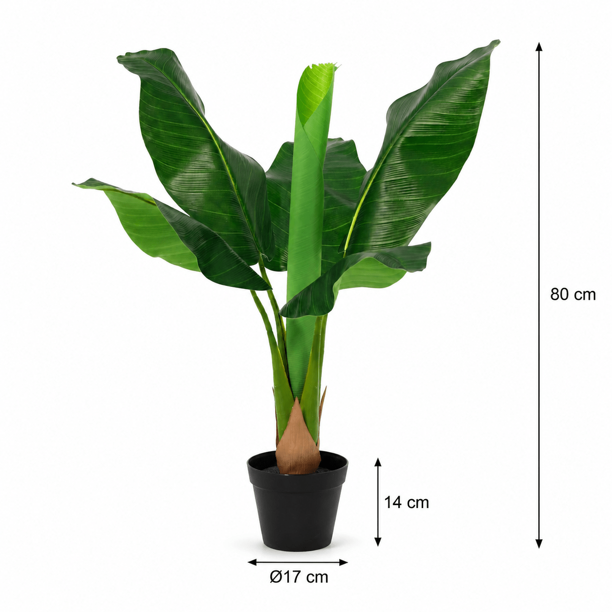 Bananenpflanze Kunstpflanze 80 cm – Musa tropisch und modern - DYFLORA